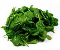 SPINACH QUILO 20X500 GRS